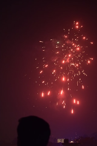 Fireworks light up the night sky with bright red and yellow sparks. A silhouetted figure in the foreground suggests a human presence, watching the display. Below, the skyline features illuminated buildings, hinting at an urban setting.