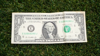 1 us dollar bill
