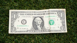 1 us dollar bill