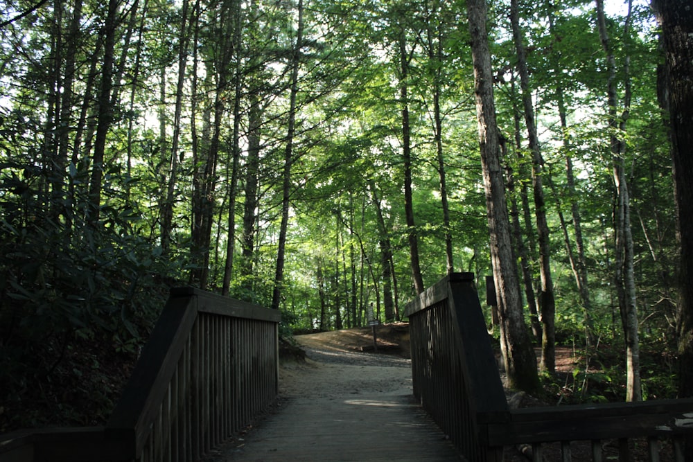 brown wooden bridge in the woods