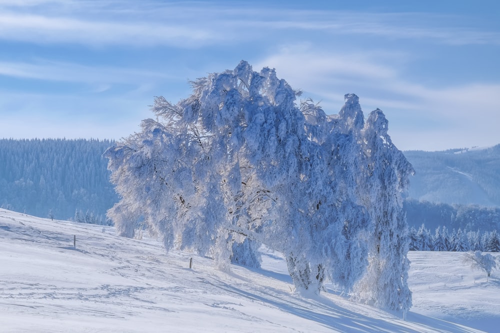 snow covered mountain during daytime