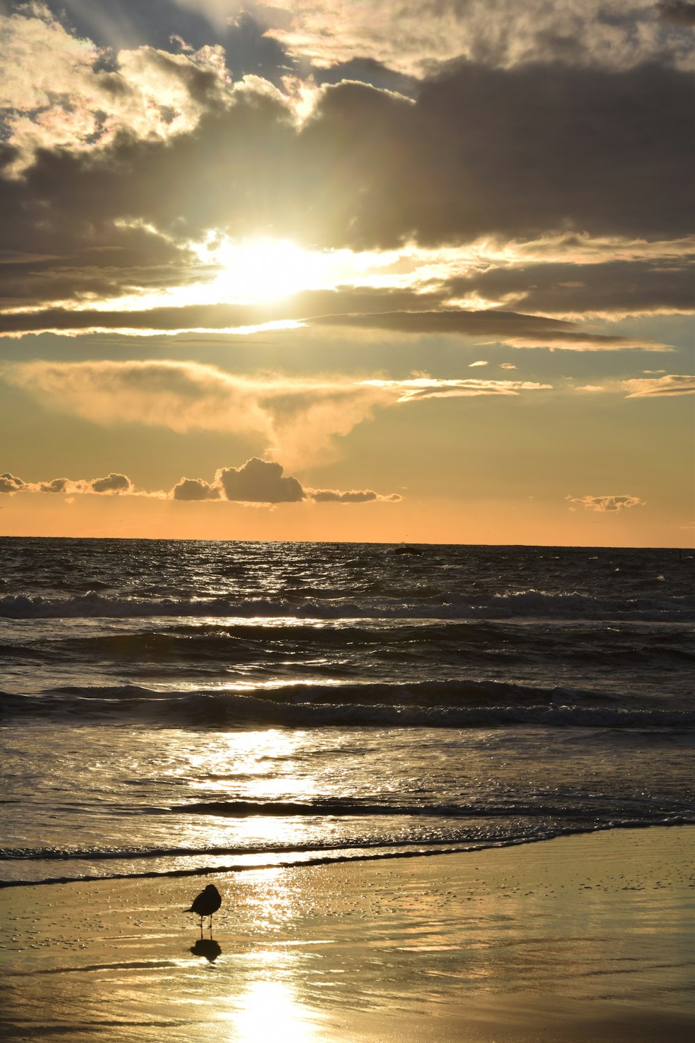 sea waves crashing on shore during sunset