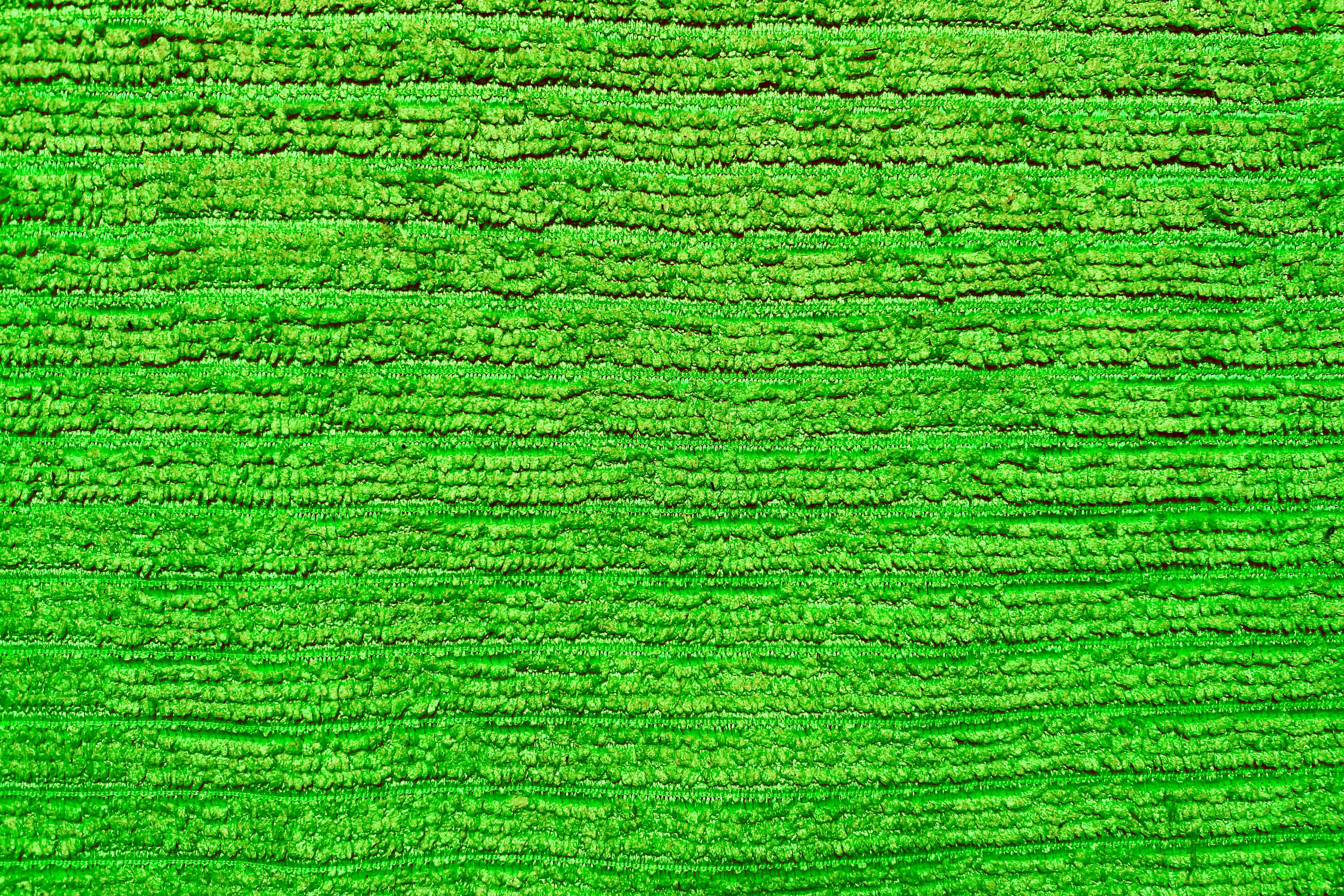 Green Texture Pictures Download Free Images On Unsplash