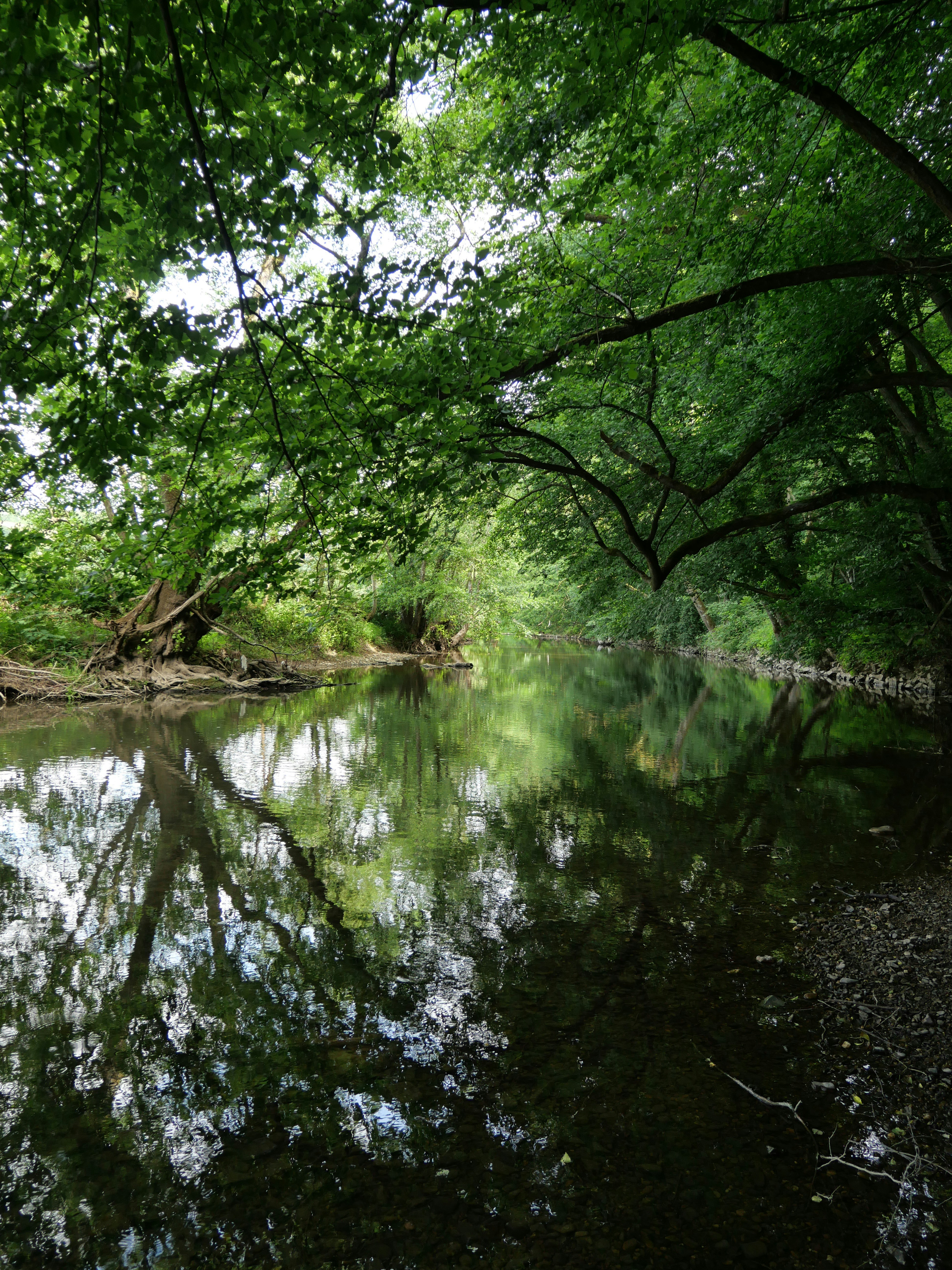 Photo by descampscha