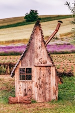 brown wooden house on green grass field during daytime