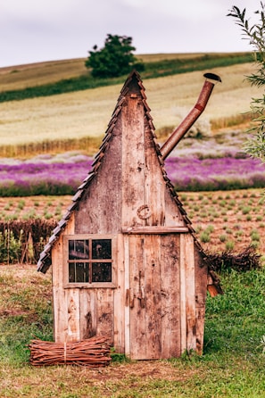 brown wooden house on green grass field during daytime