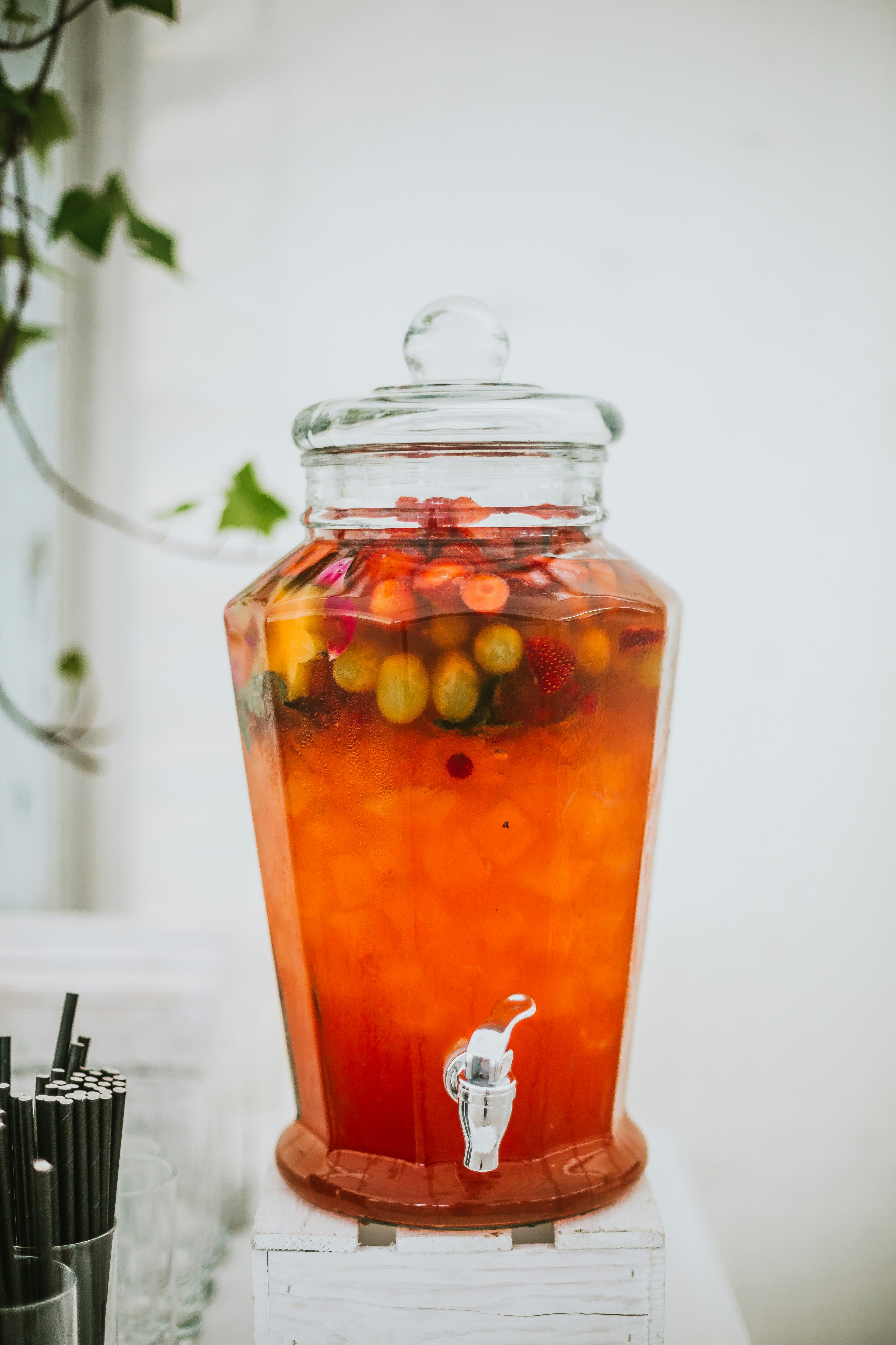 Cranberry Vodka Cooler with fresh orange slices