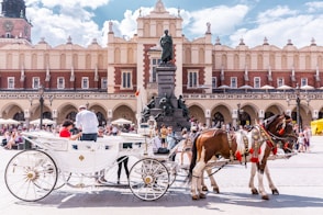 people riding horses on street during daytime