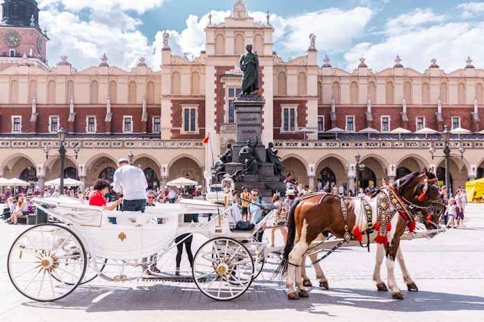 people riding horses on street during daytime