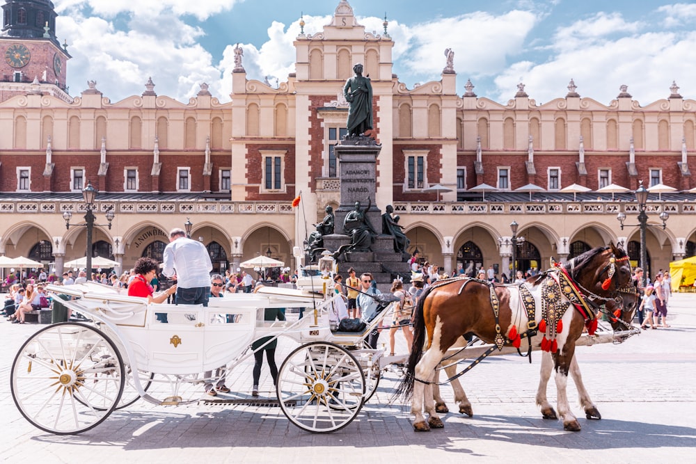 people riding horses on street during daytime