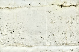 A close-up view of a textured, weathered white brick wall. The surface displays signs of age and wear, with visible cracks, stains, and irregularities in the cement between bricks. Small pieces of debris or plants might be present in some crevices.