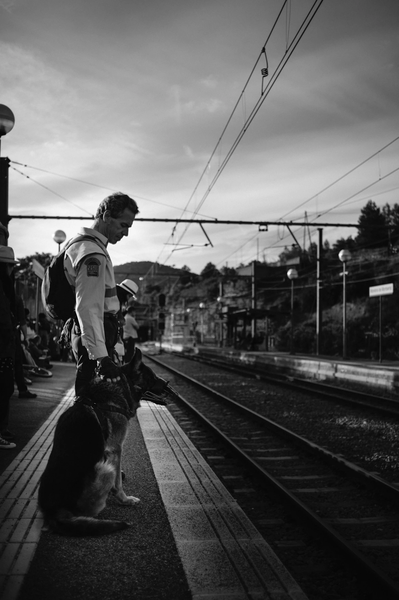 Black and white photo of a handler and a German shepherd in a working harness waiting together on a quiet train platform at dusk