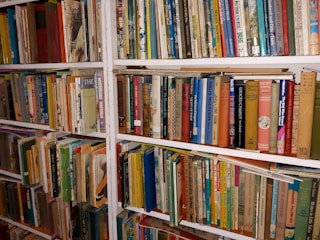 books on brown wooden shelf