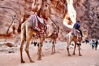 man in blue shirt riding camel near brown rock formation during daytime