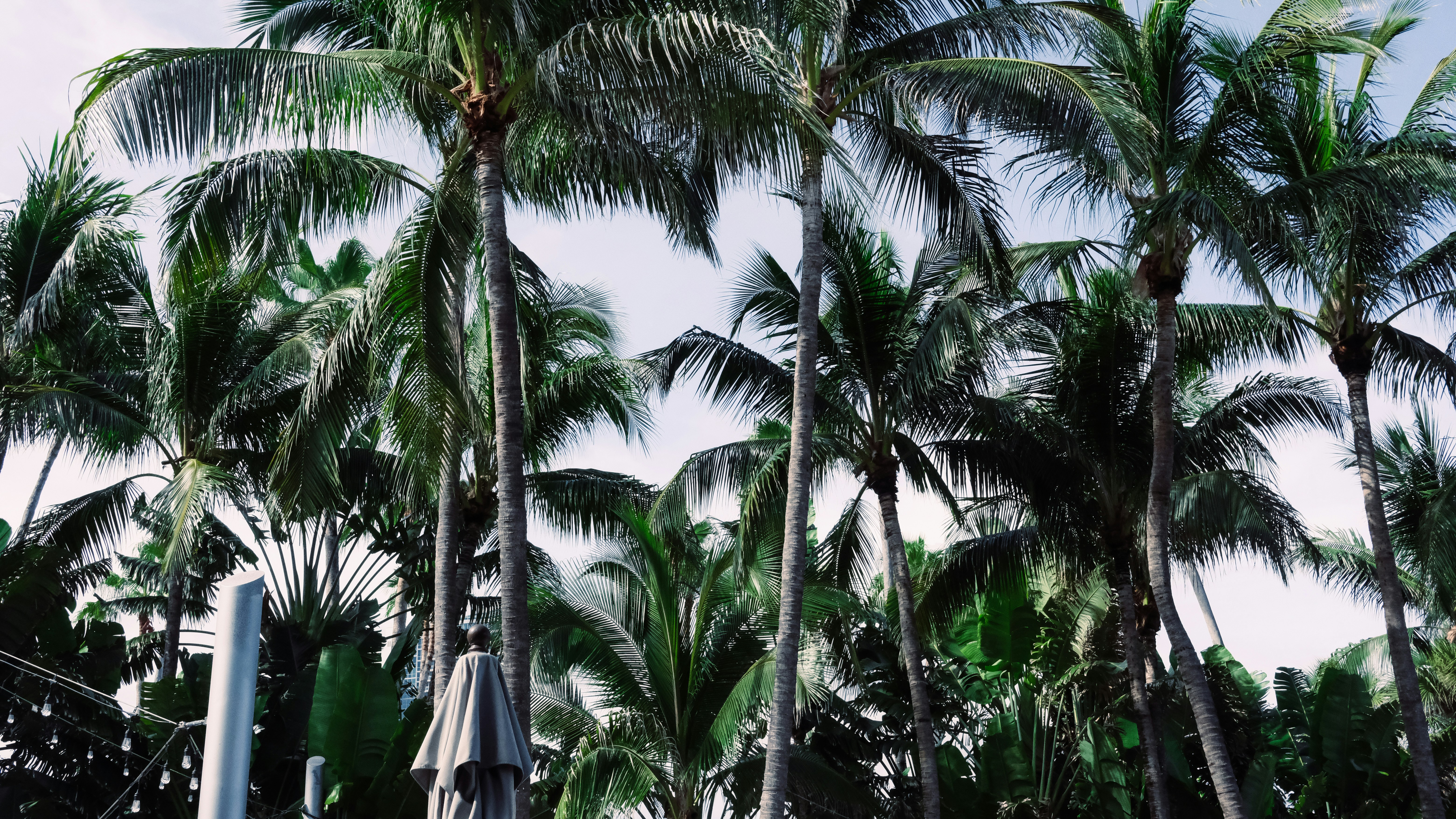 Photo by reganography