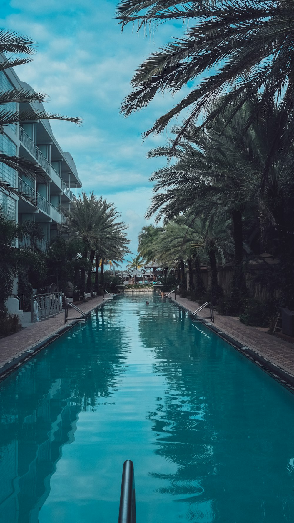 green trees near swimming pool during daytime