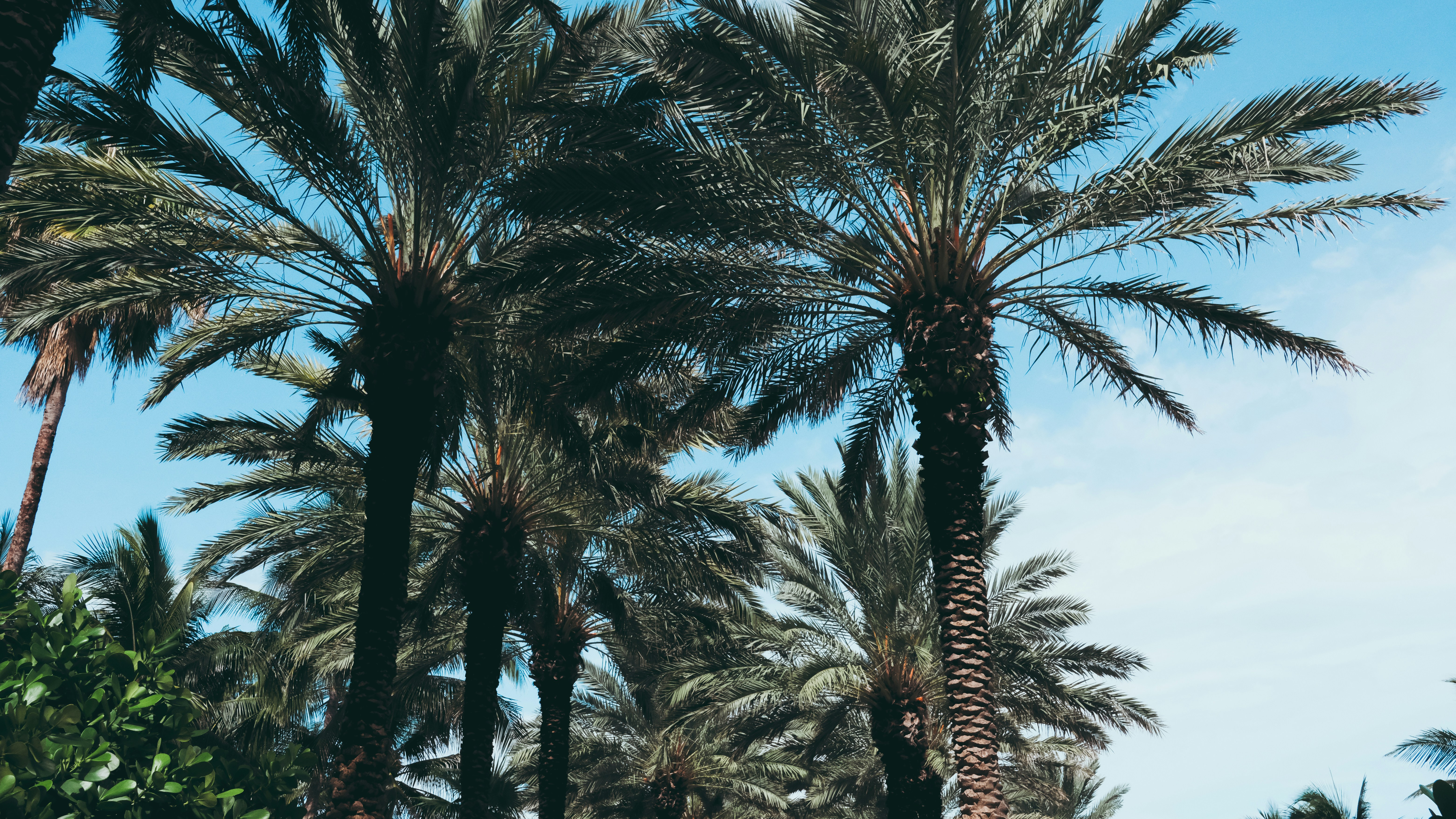 Photo by reganography