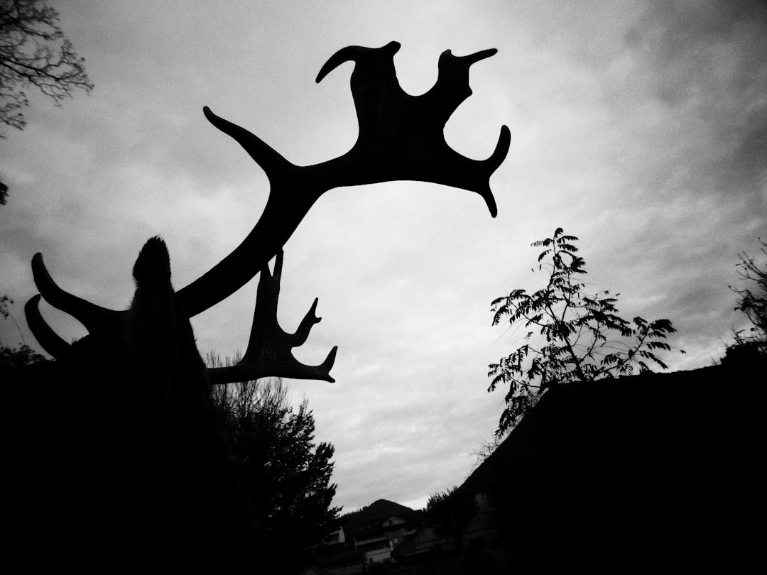 silhouette of person jumping on mid air under cloudy sky during daytime