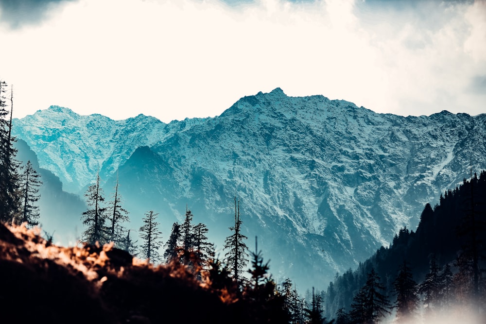 a view of a mountain range from a distance