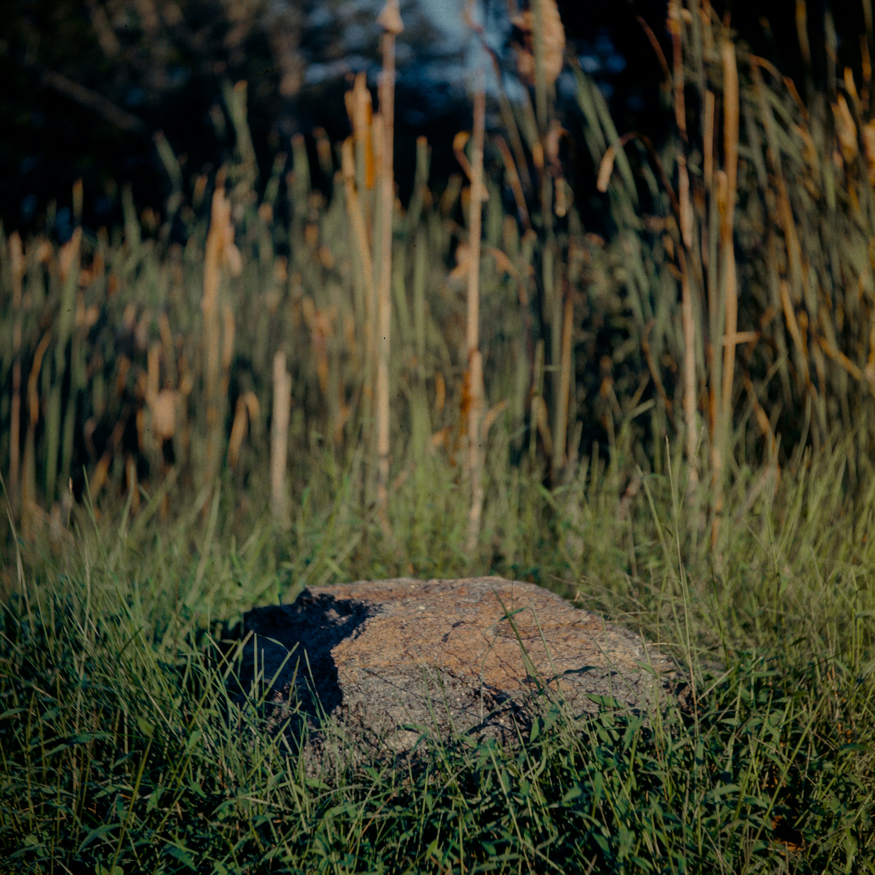roche noire sur l’herbe verte pendant la journée