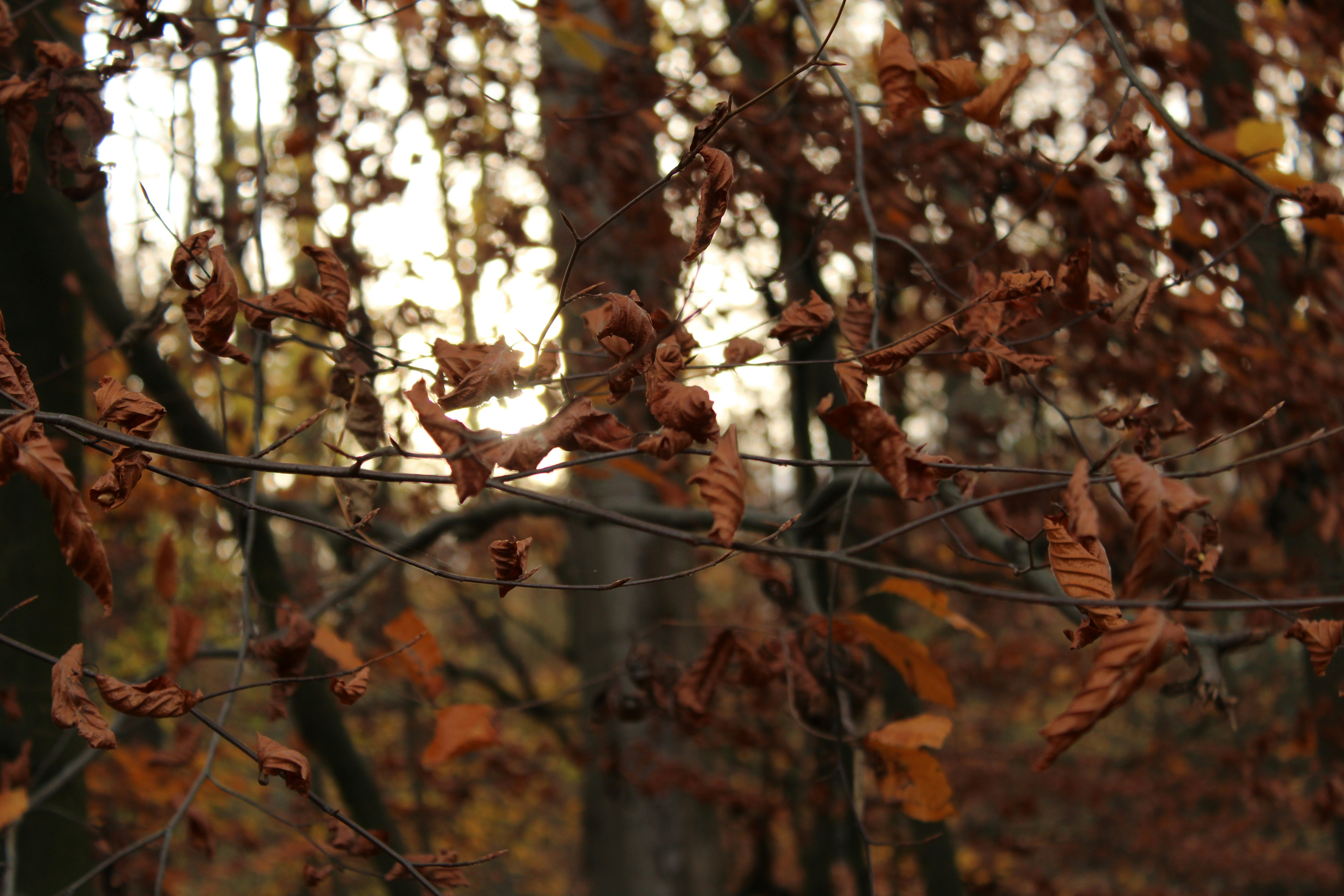 Photo by charlotte_gh