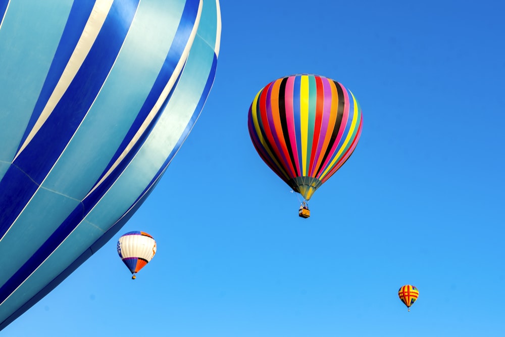 blue white and red hot air balloon