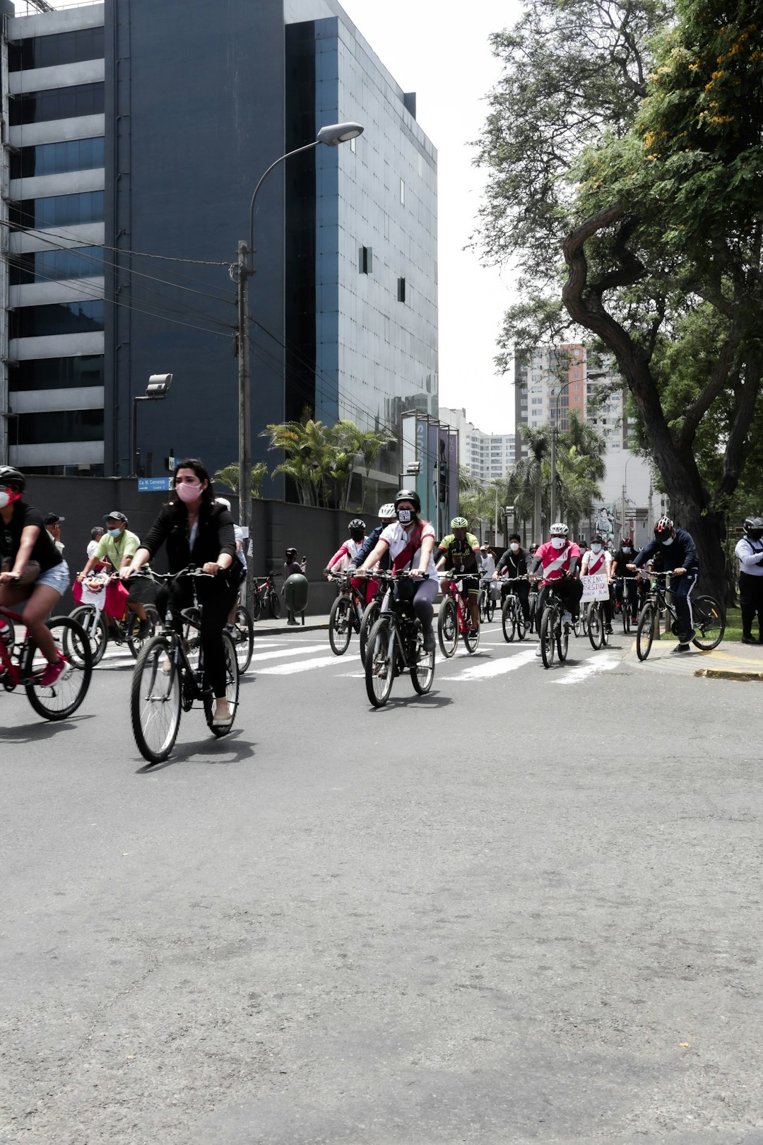 people riding bicycles on road during daytime