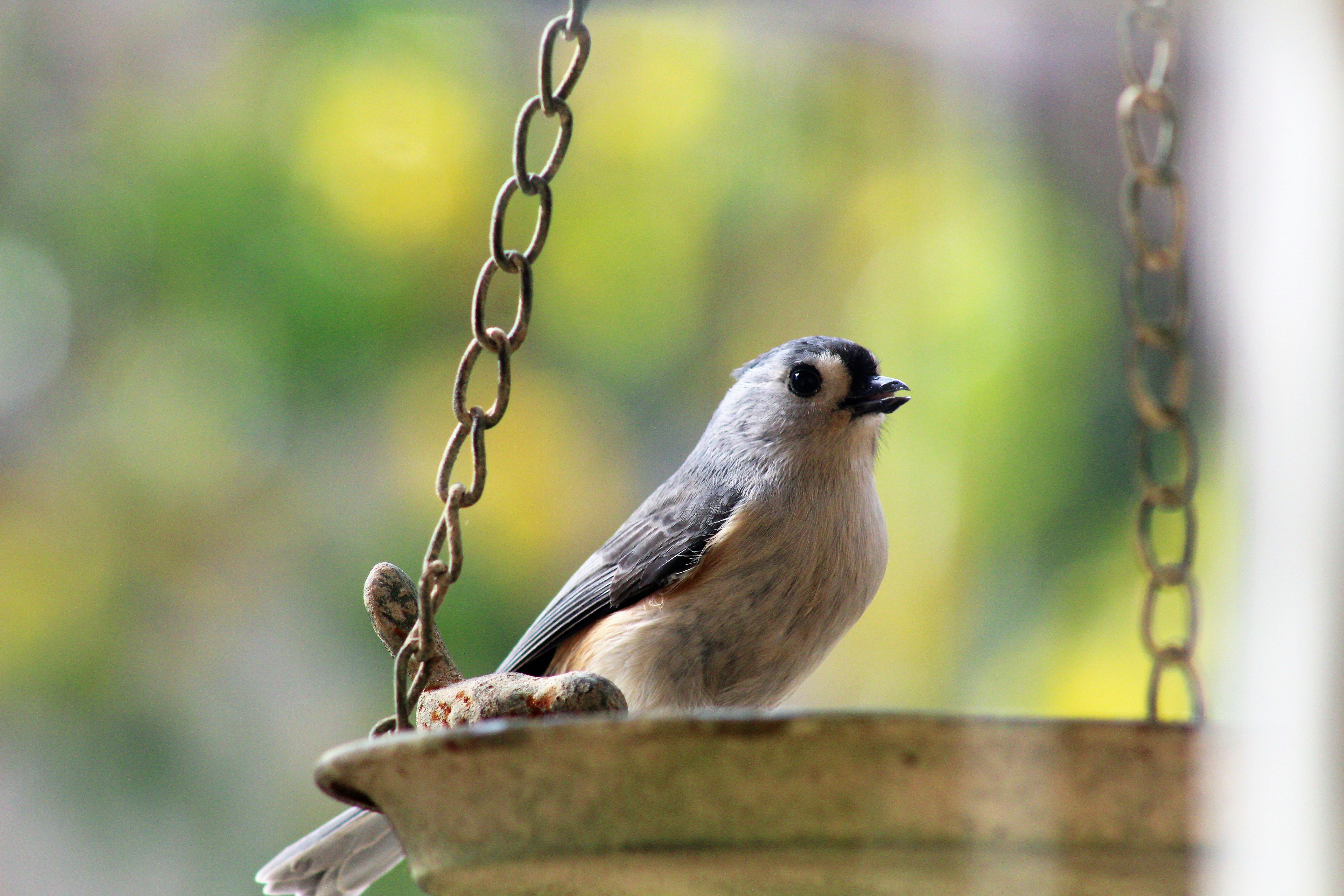 Photo by arkansas007