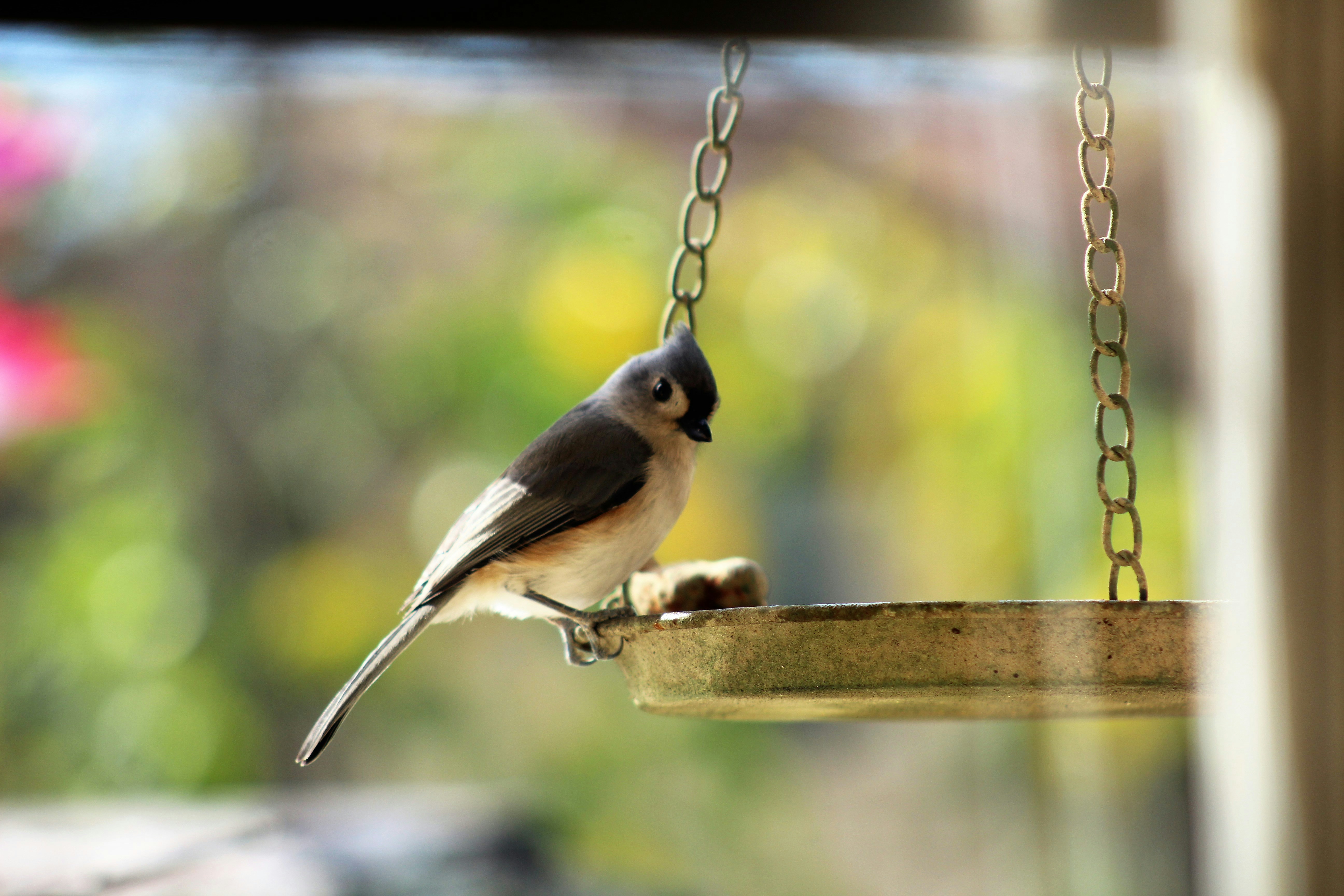 Photo by arkansas007