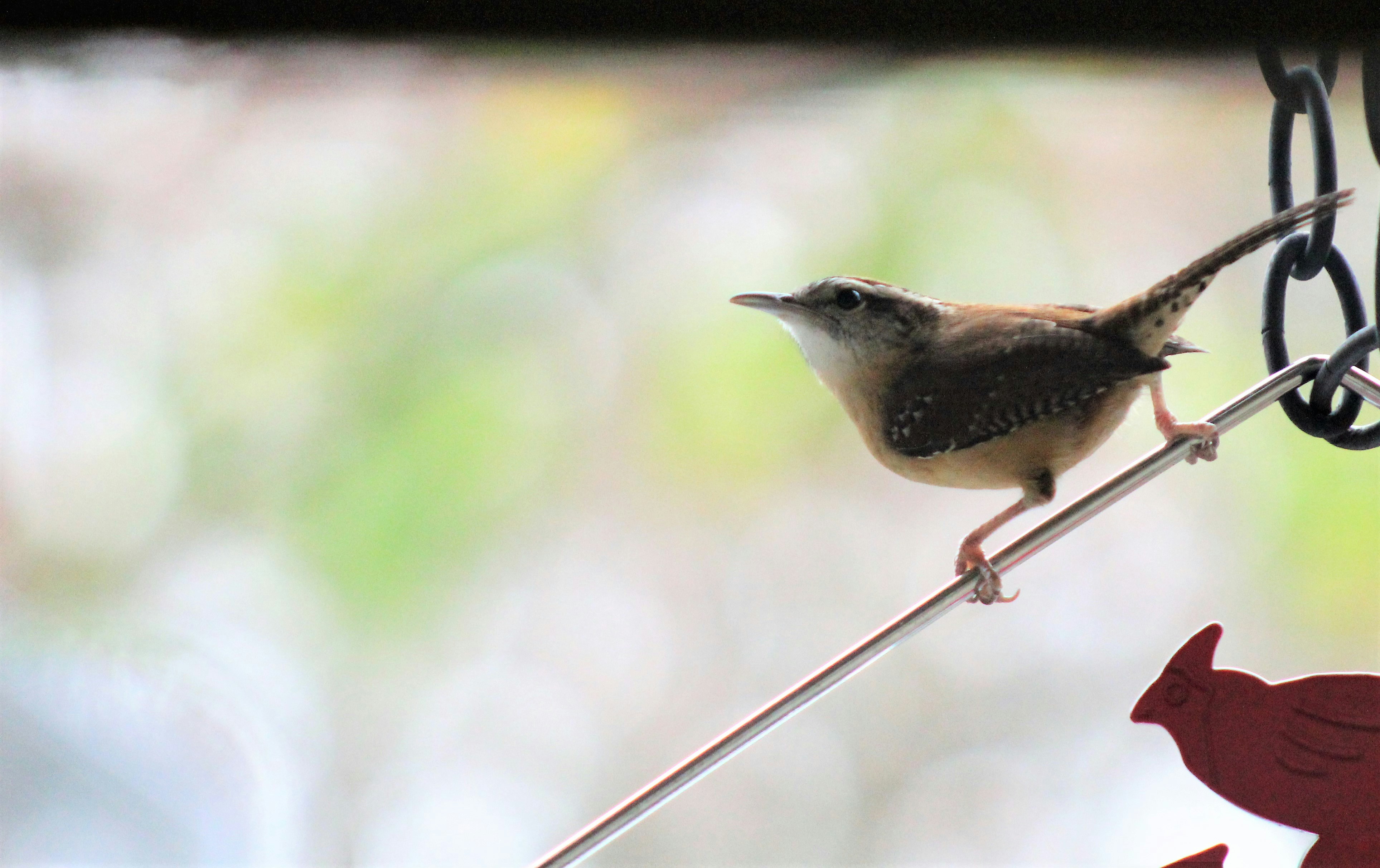 Photo by arkansas007