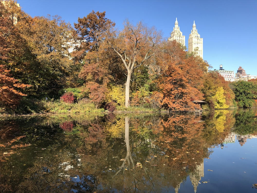 green and brown trees beside river during daytime