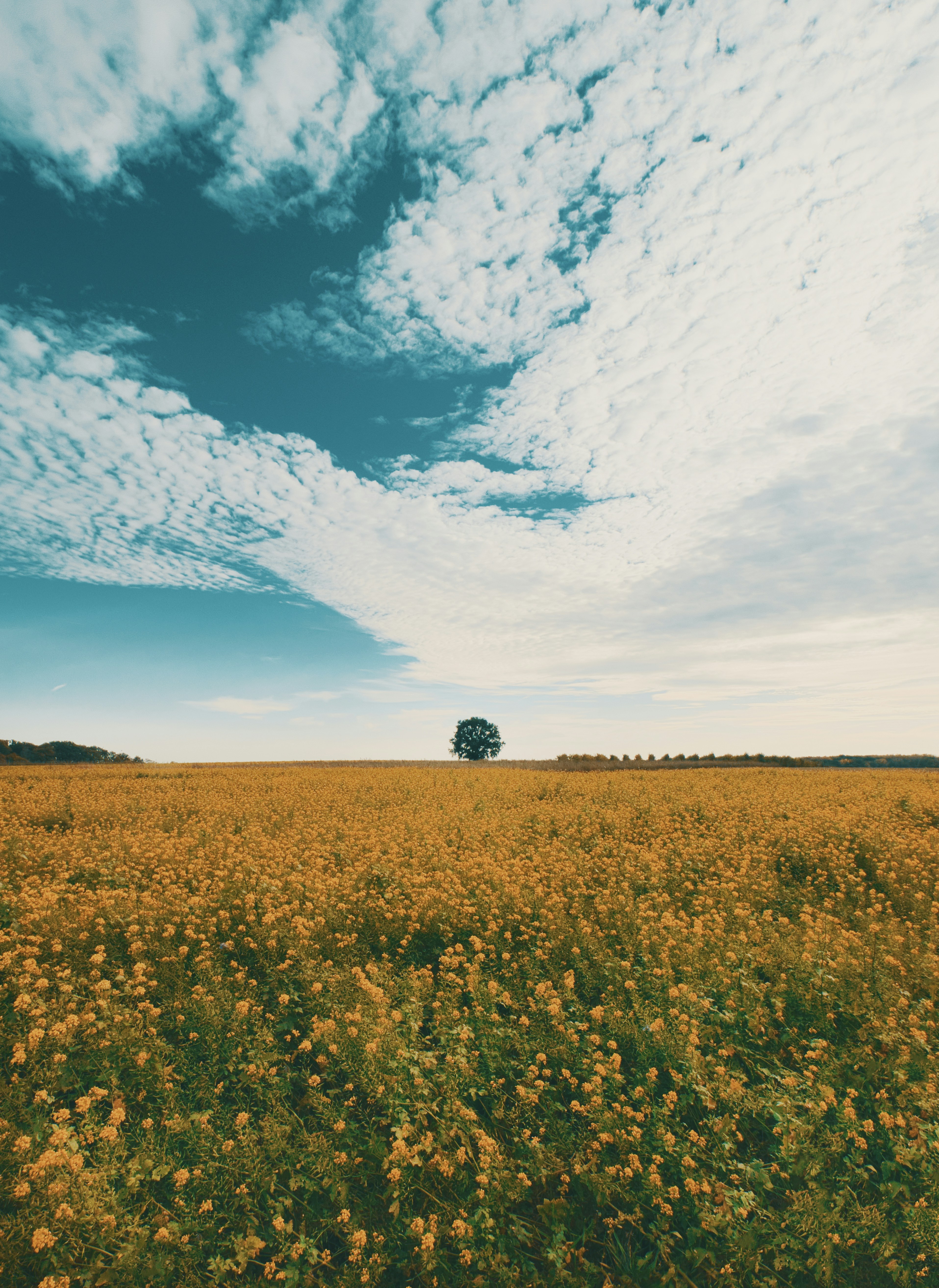 Photo by shottrotter