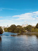 green trees beside river under blue sky during daytime