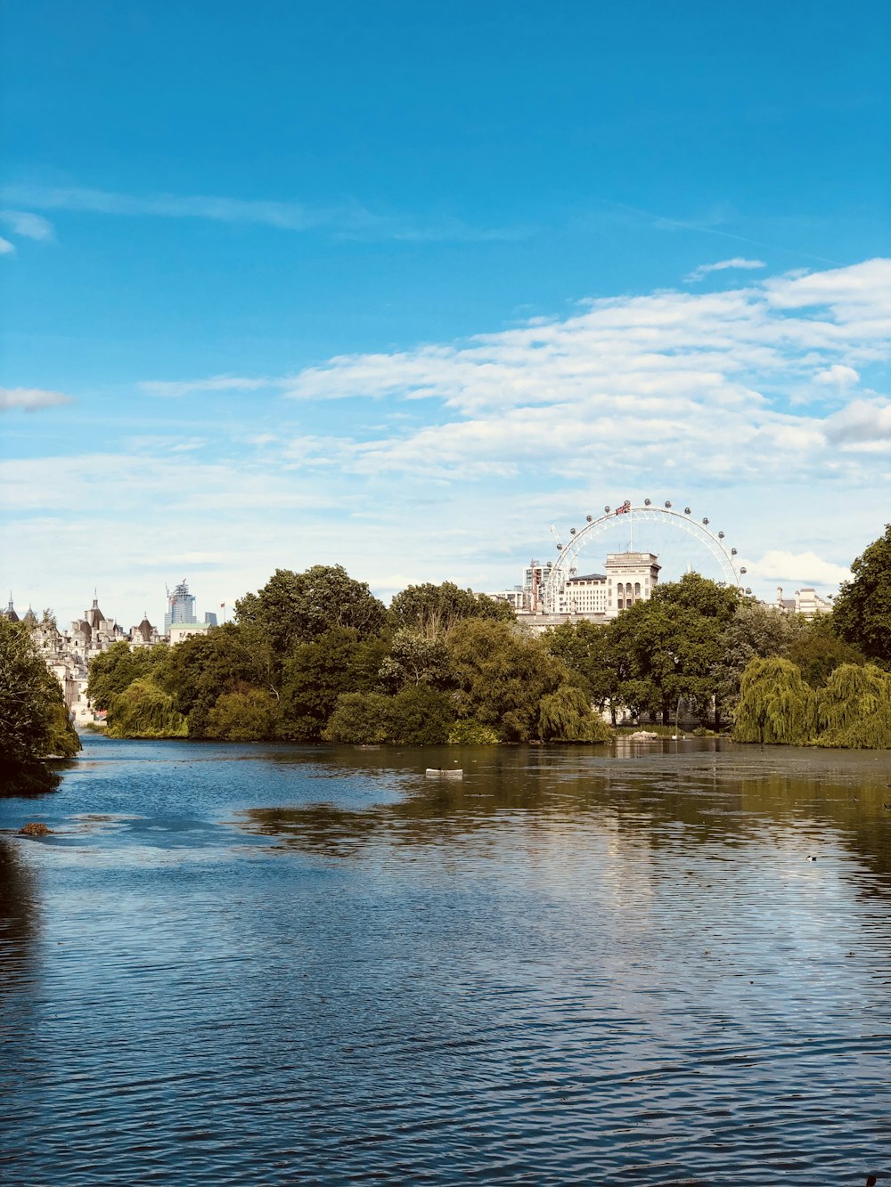 green trees beside river under blue sky during daytime