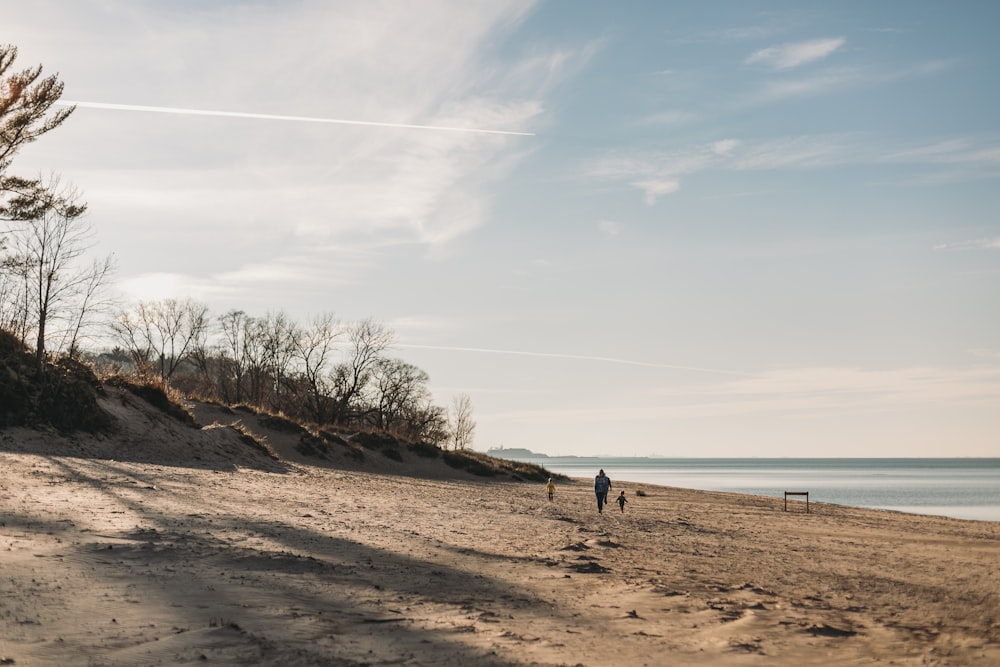 people on beach during daytime