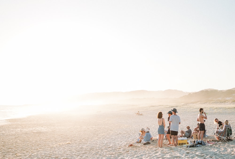 people on beach during daytime