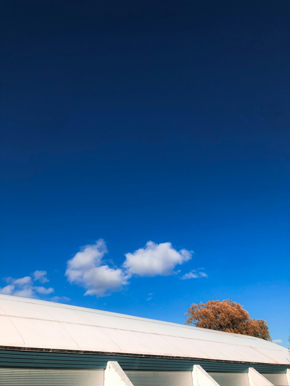 green trees under blue sky during daytime