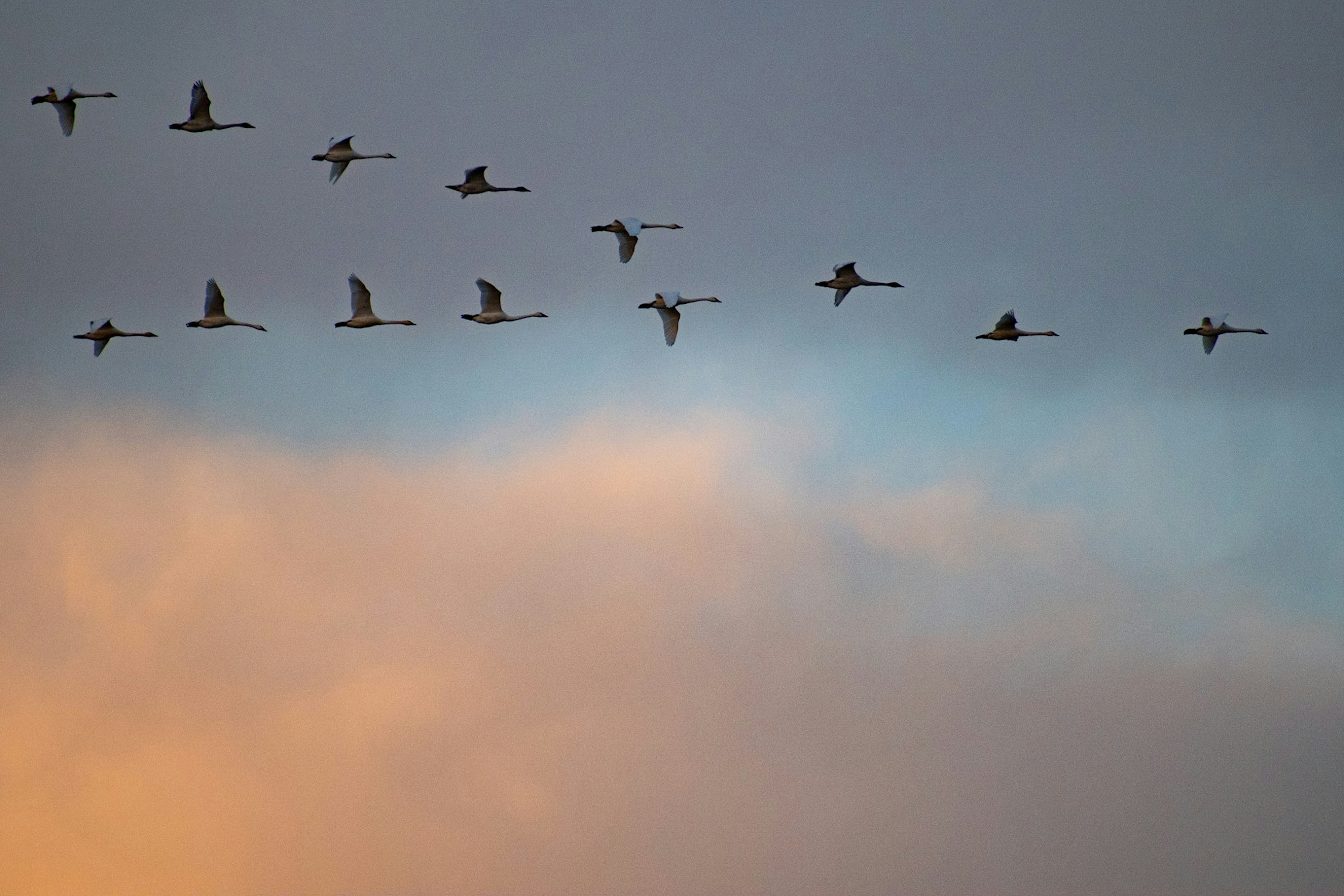 Photo by elisastonephotography