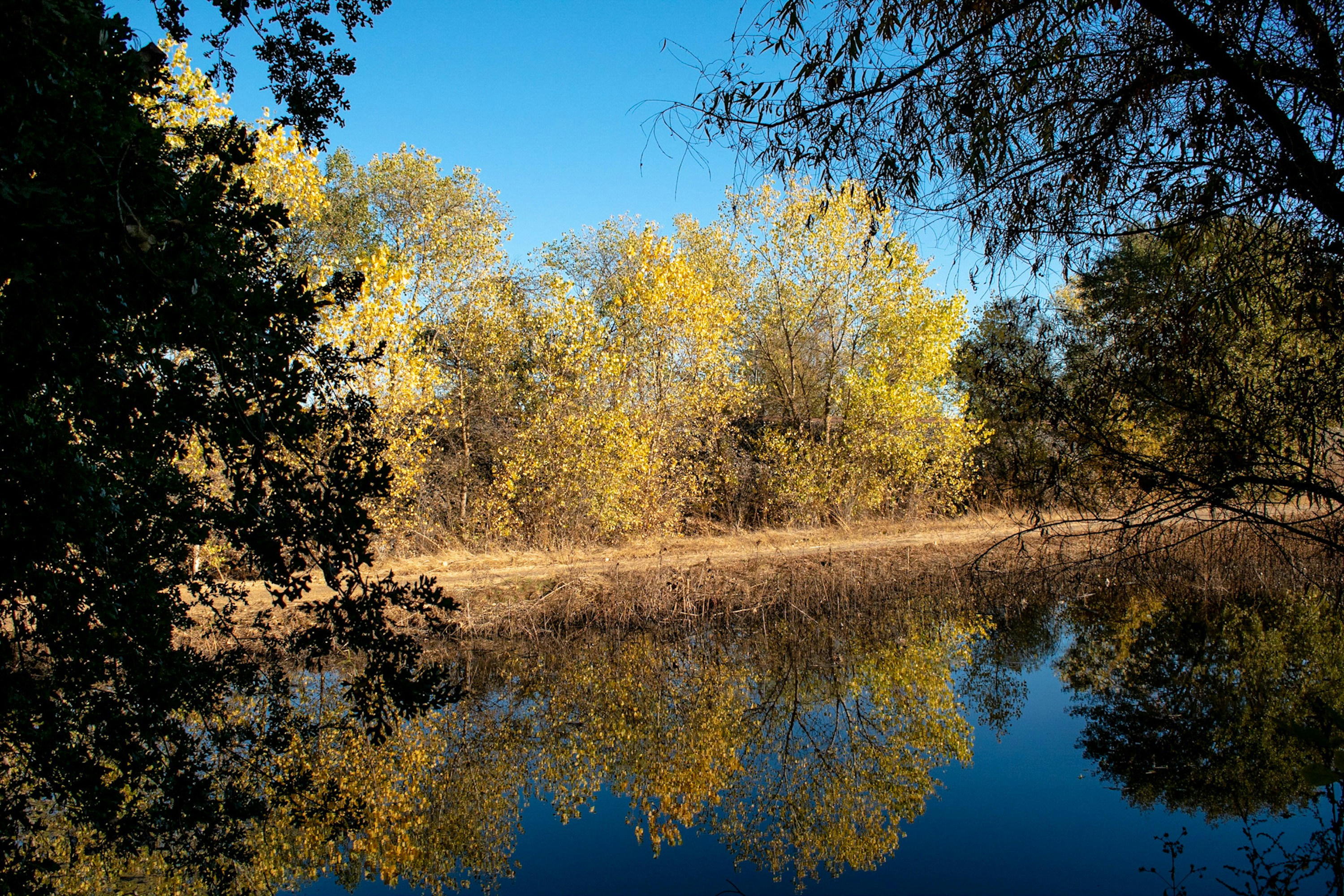 Photo by elisastonephotography