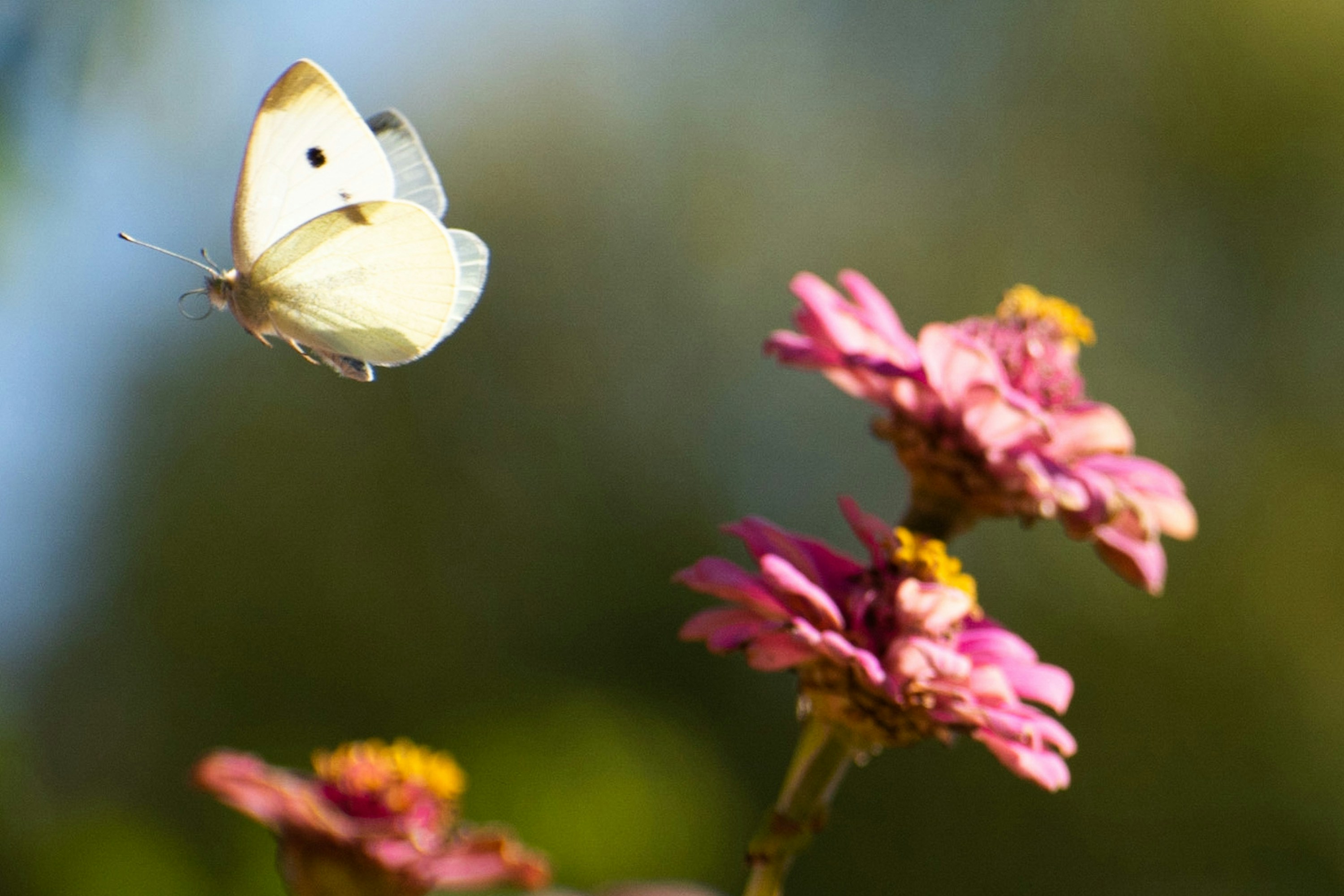 Photo by elisastonephotography