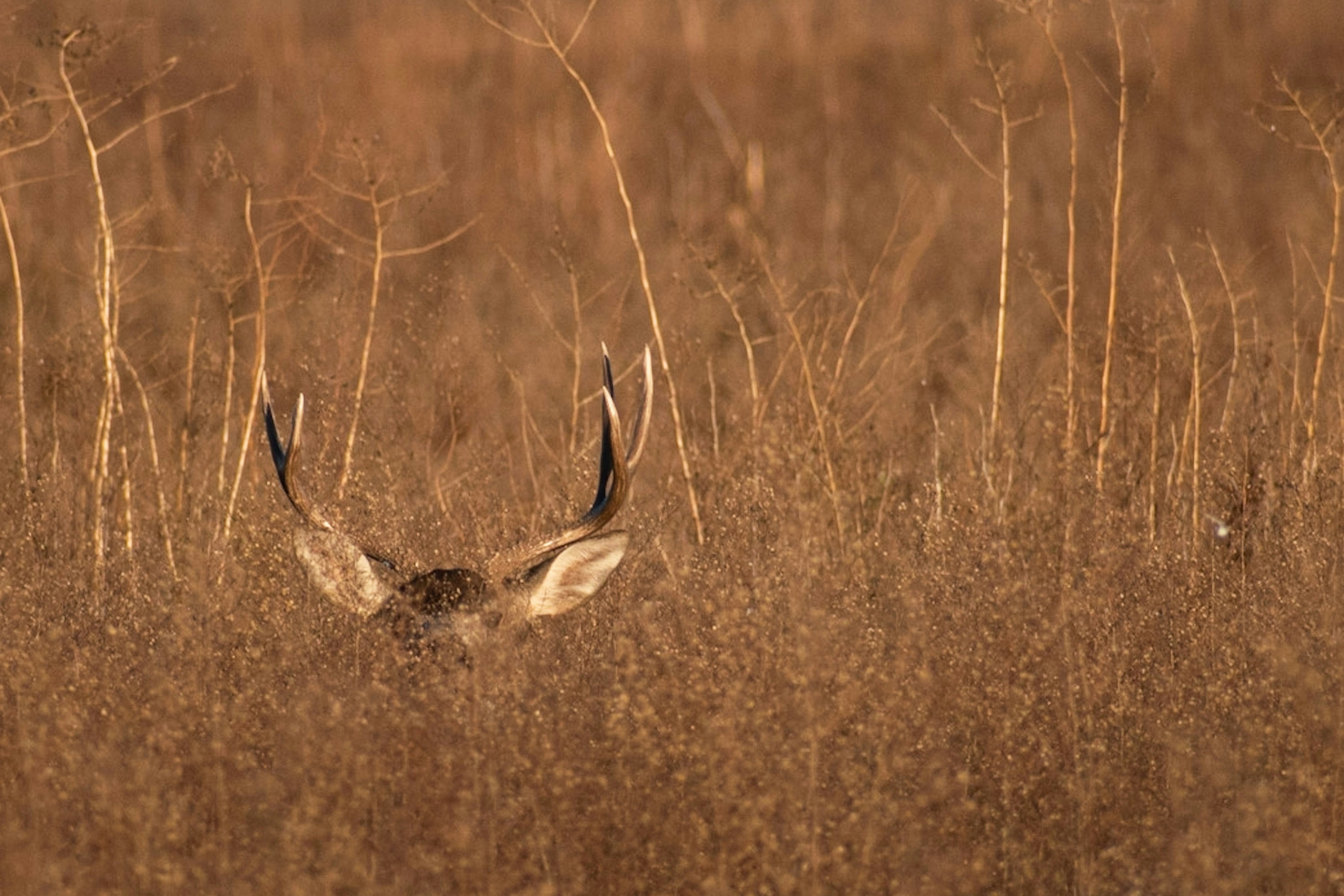 Photo by elisastonephotography