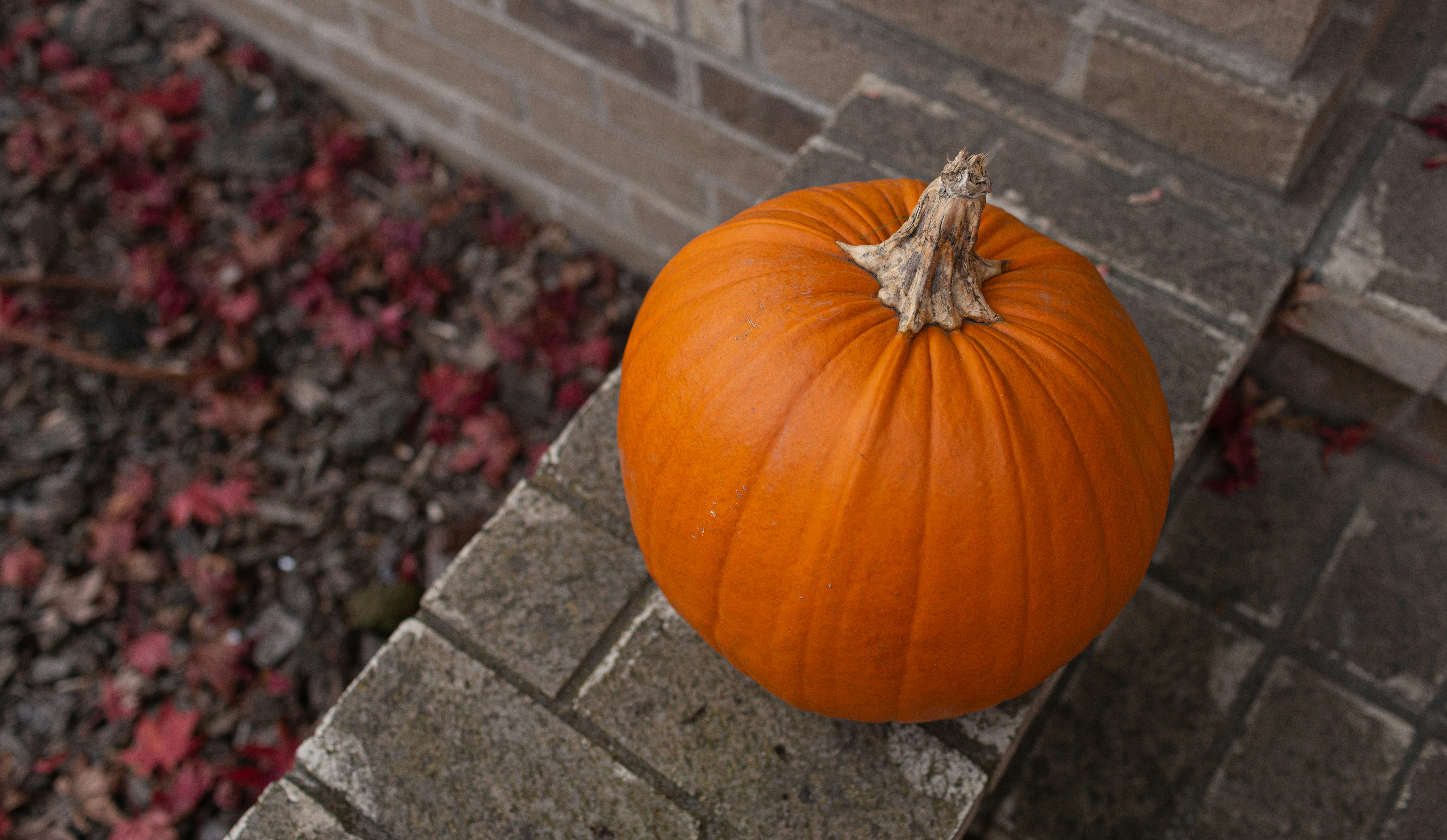 Photo by carsonforemanphotos