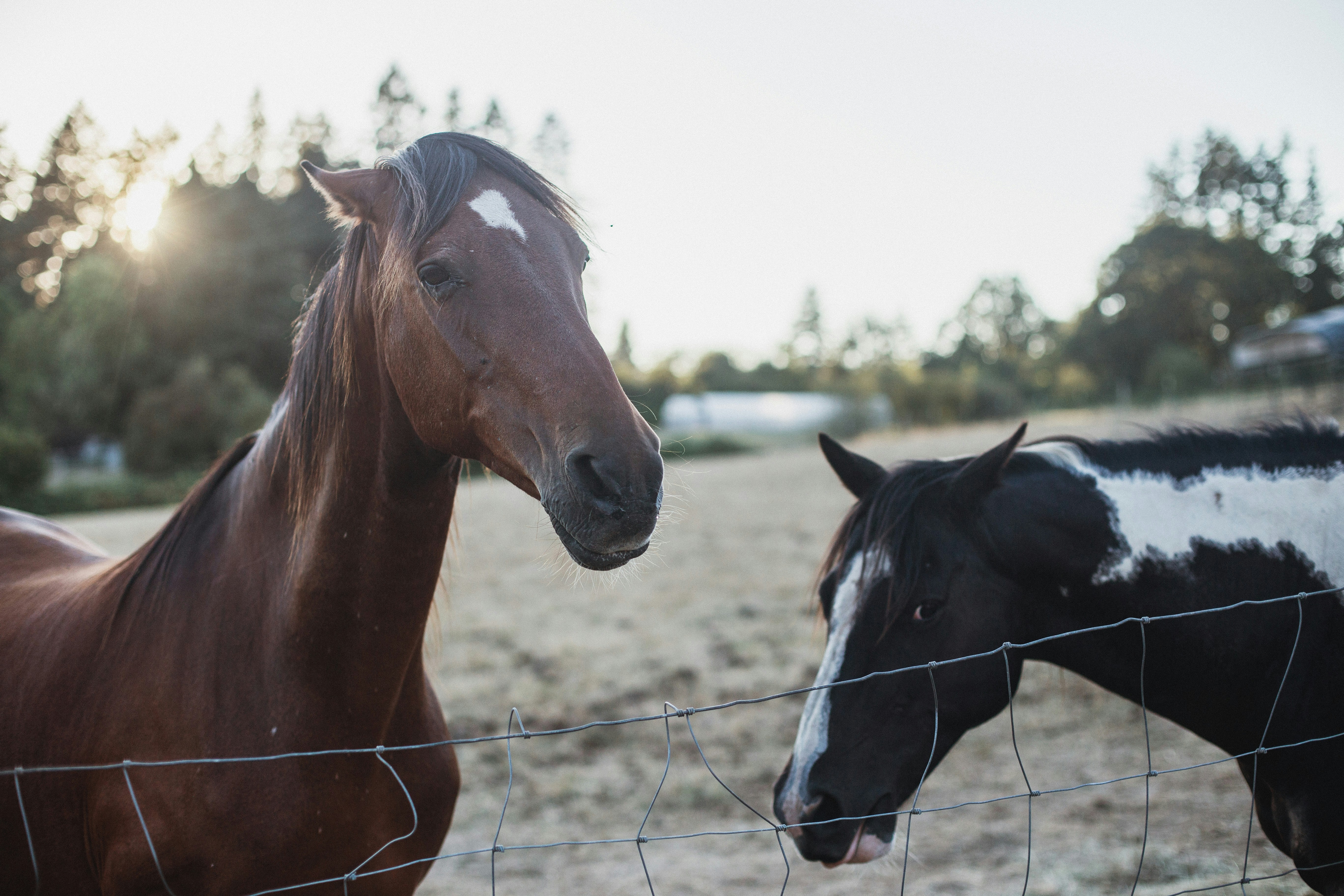 Photo by carsonforemanphotos