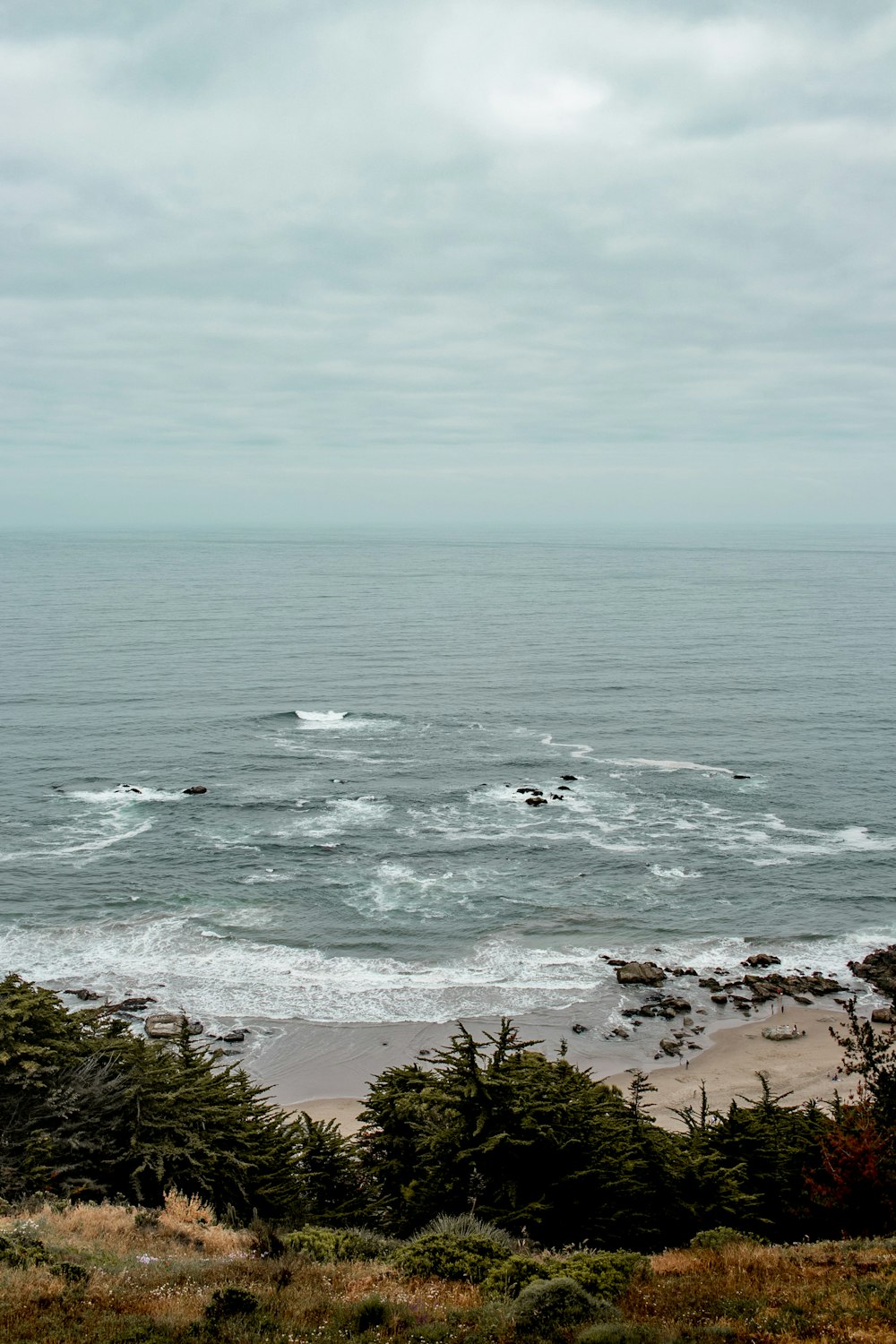 aerial view of beach during daytime