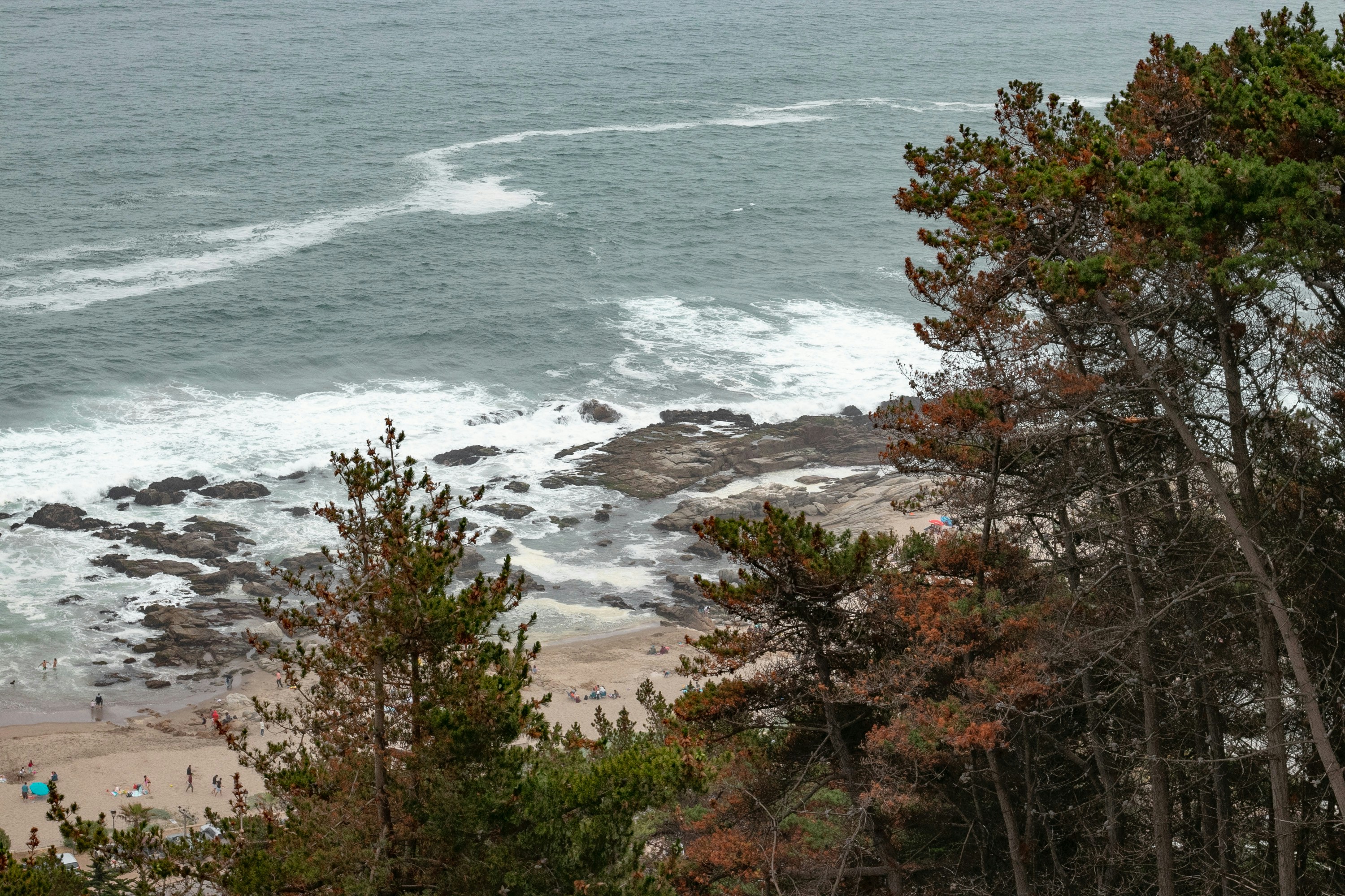 Photo by bastiascarlos