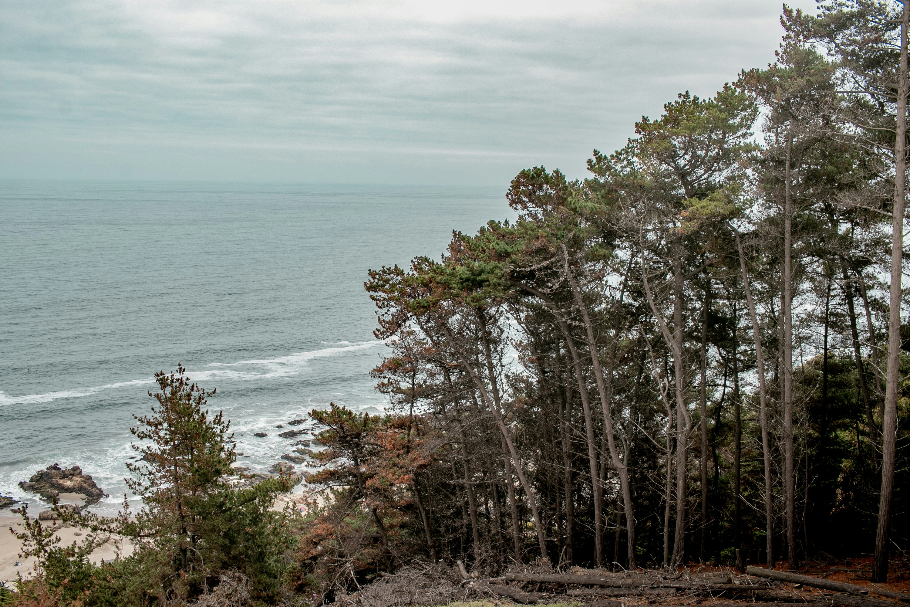 Photo by bastiascarlos