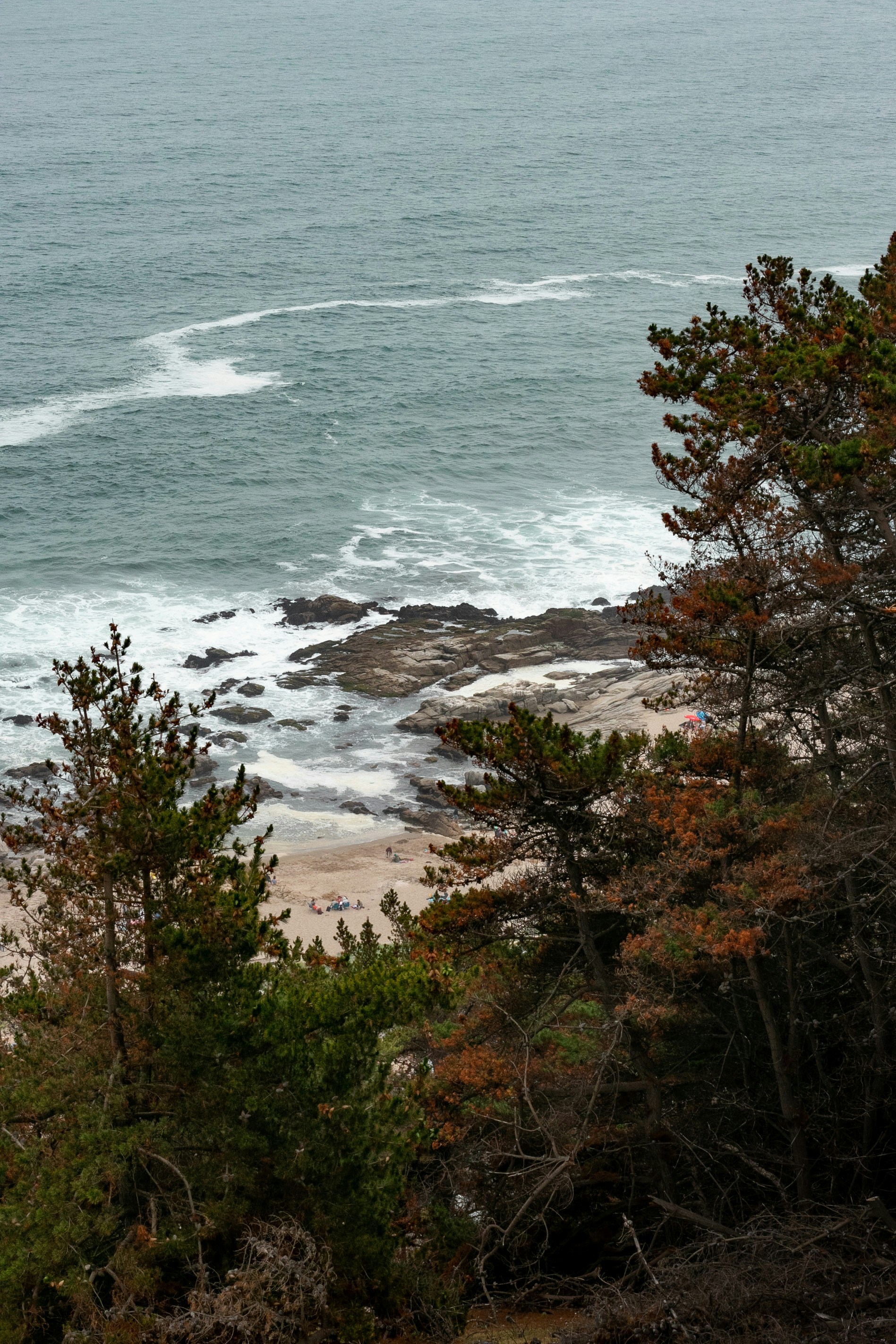 Photo by bastiascarlos