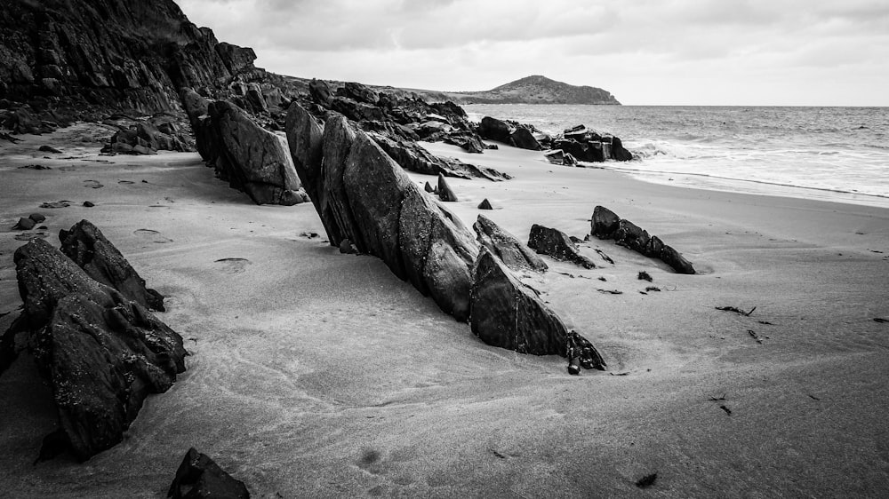 grayscale photo of rocky beach