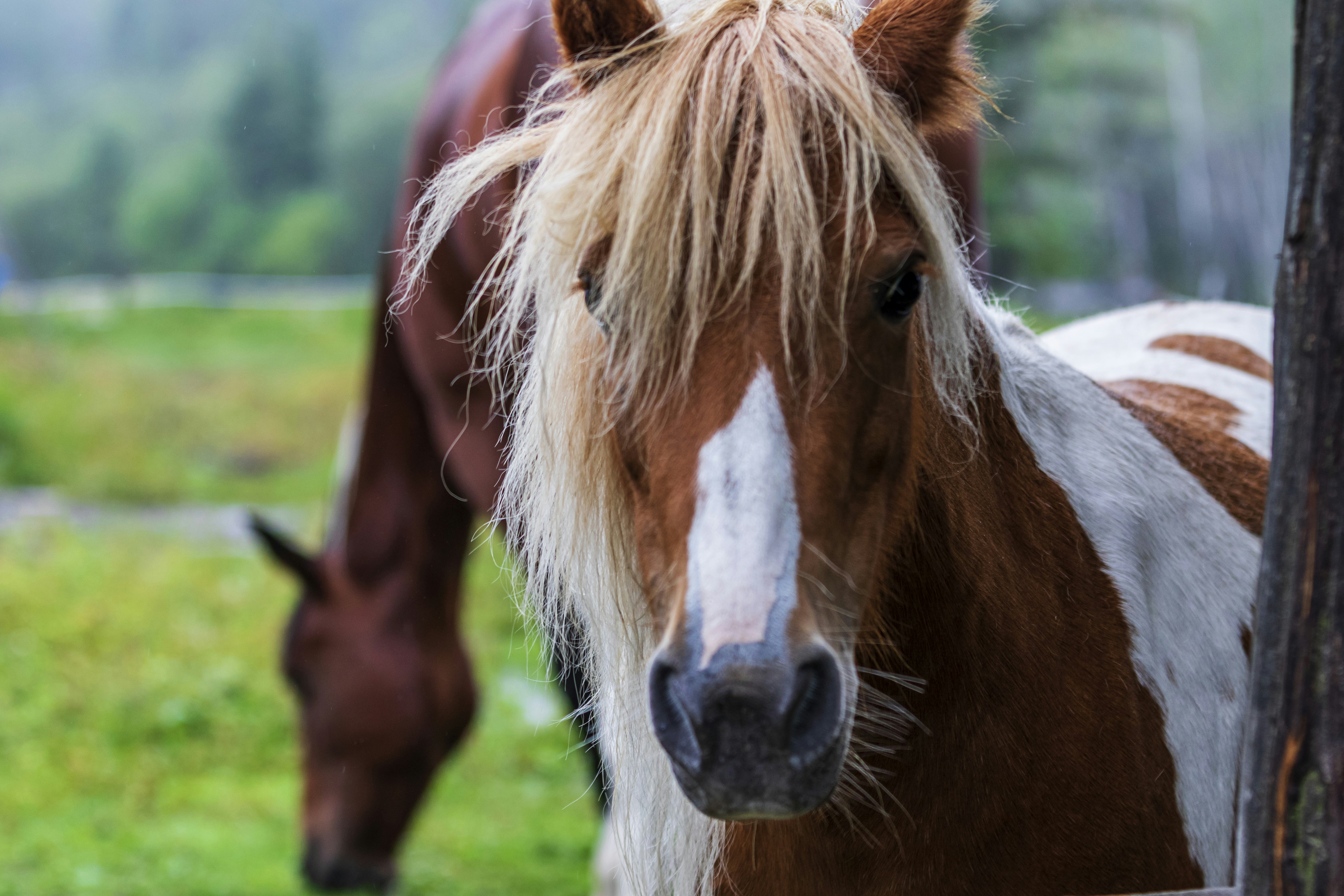 Photo by camerauthor