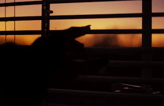 Close-up of a hand adjusting a sleek SolarTek curtain with sunlight streaming through.